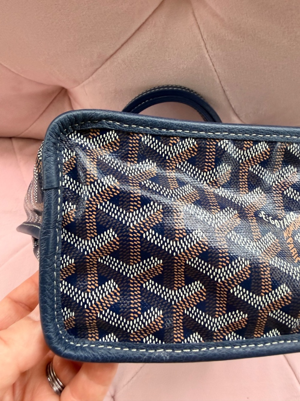 Goyard Mini Anjou Tote Bag - Picture 7 of 14